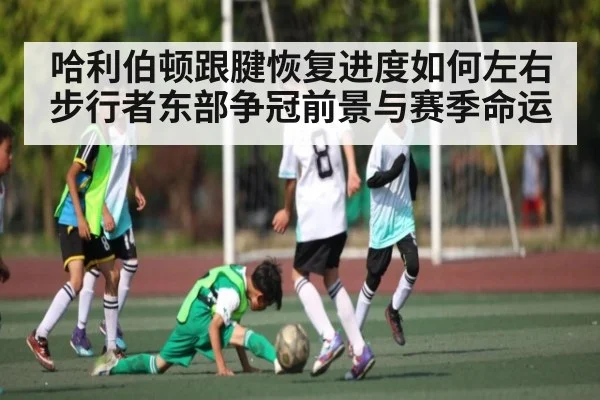 哈利伯顿跟腱恢复进度如何左右步行者东部争冠前景与赛季命运